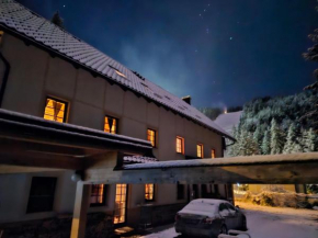 Apartmaji Koželj